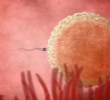 הקפאת ביציות